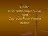 Право в системе социальных норм. Система Российского права