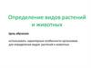 Определение видов растений и животных
