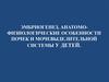 Эмбриогенез, анатомофизиологические особенности почек и мочевыделительной системы у детей