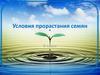 Условия прорастания семян