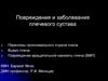 Повреждения и заболевания плечевого сустава
