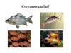 Кто такие рыбы?