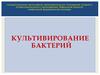 Культивирование бактерий