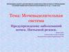 Мочевыделительная система Предупреждение заболеваний почек. Питьевой режим. 8 класс