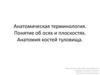 Анатомическая терминология. Понятие об осях и плоскостях. Анатомия костей туловища