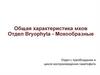 Общая характеристика мхов. Отдел Bryophyta - Мохообразные