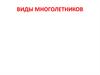 Виды многолетников