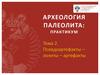 Археология палеолита. Псевдоартефакты, эолиты, артефакты