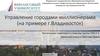 Управление городами-миллионерами, на примере г. Владивосток