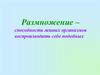 Половое размножение животных. «Язык» животных в период ухаживания