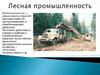 Лесная промышленность