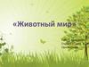 Животный мир