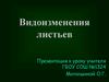 Видоизменения листьев