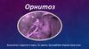 Орнитоз