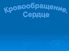 Кровообращение. Сердечнососудистая система
