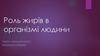 Роль жирів в організмі людини