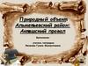 Альметьевский район: природный объект "Акташский провал"