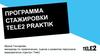 Программа стажировки Tele2 Praktik