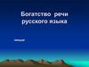Богатство речи русского языка
