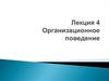 Организационное поведение. Лекция 4