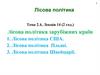 Лісова політика. Лісова політика зарубіжних країн