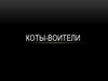 Коты-воители