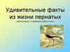 Удивительные факты из жизни птиц