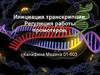 Инициация транскрипции. Регуляция работы промоторов