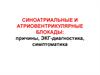 Синоатриальные и атриовентрикулярные блокады: причины, экг-диагностика, симптоматика