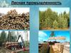Лесная промышленность