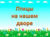Птицы на нашем дворе