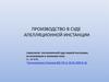 Производство в суде апелляционной инстанции