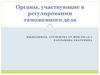 Органы, участвующие в регулировании таможенного дела
