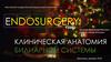 Клиническая анатомия билиарной системы