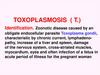 Toxoplasmosis (T.) identification