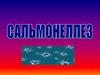 Сальмонеллез. Семейство Enterobacteriaceae, род Salmonella