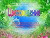 Цветоведение. Формирование чувства цвета у детей и использование его в декоративно-прикладном творчестве