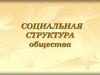 Социальная структура общества