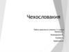 Причины кризиса 1968 года в Чехословакии. Результаты бархатной революции. Распад Чехословакии