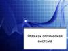 Глаз как оптическая система