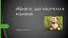 «Краса, що застигла в камені»