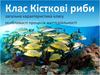 Клас Кісткові риби