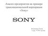 Анализ предприятия на примере транснациональной корпорации «Sony»