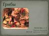 Грибы ― особое царство живой природы