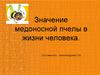 Значение медоносной пчелы в жизни человека