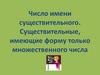 Число имени существительного. Существительные, имеющие форму только множественного числа