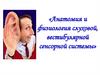 Анатомия и физиология слуховой, вестибулярной сенсорной системы