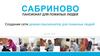 Сабриново. Создание сети домов-пансионатов для пожилых людей. Проект