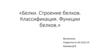 Белки. Строение белков. Классификация. Функции белков
