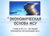 Экономическая основа  МСУ
